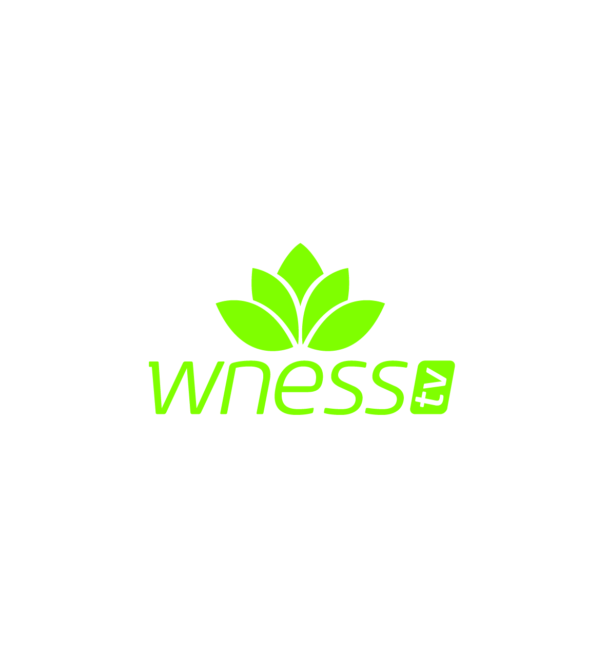logo WNESS TV
